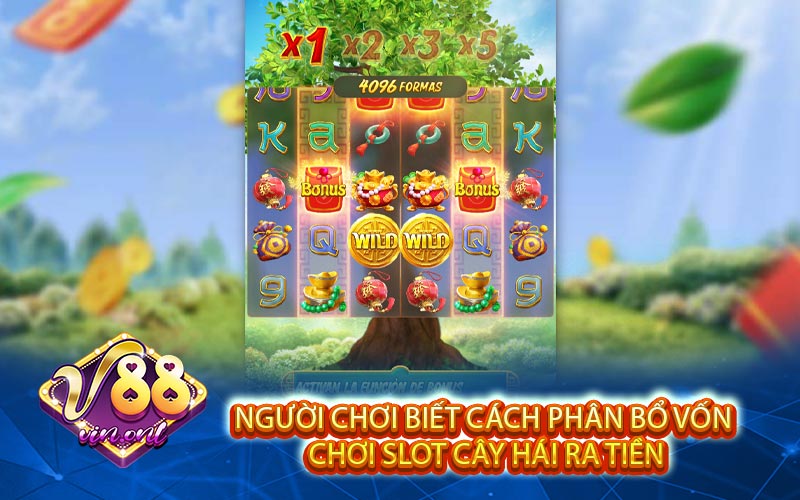 Người chơi biết cách phân bổ vốn chơi Slot cây hái ra tiền